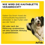 AdTab Hund 2,5 - 5,5 kg Kautablette 3 St