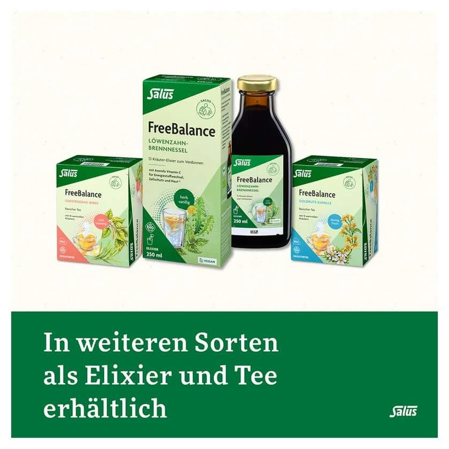 Salus Löwenzahn-Brennnessel Kräutertee 40 St