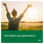Salus Löwenzahn-Brennnessel Kräutertee 40 St
