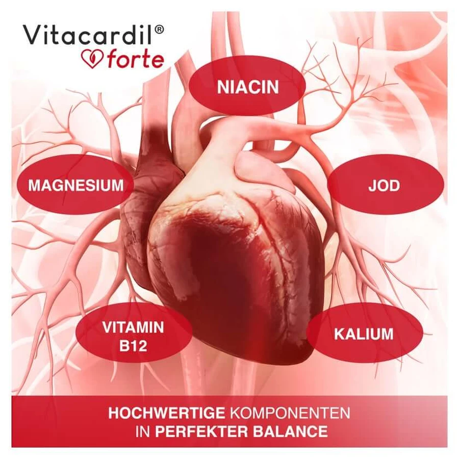 Vitacardil Forte M.tiamina per la funzione cardiaca caps. 120 pz.