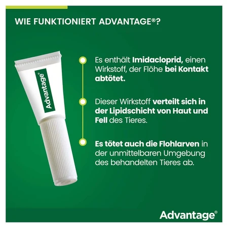 Advantage Spot-On 40 tegen vlooien kleine katten 4X0,4 ml