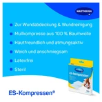 Compresses ES stériles 10x10cm 8 plis 17 fils 5X2 pcs.