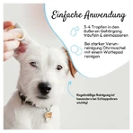 PHA Ohrenpflege Tropfen Hunde 100 ml
