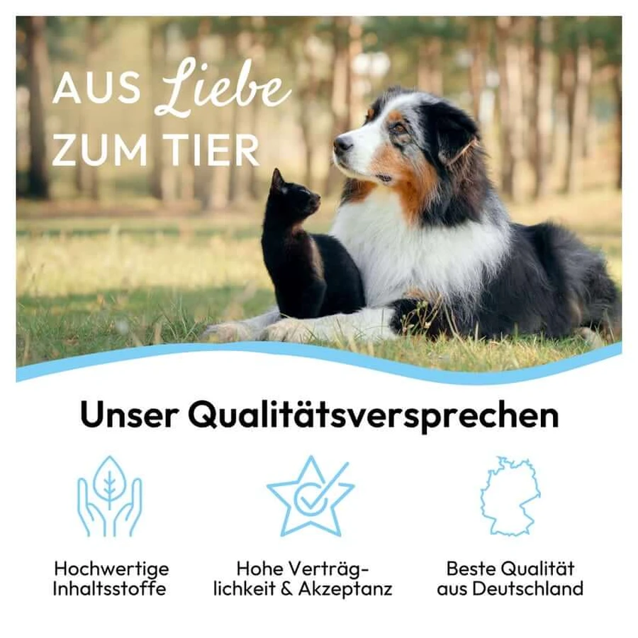 PHA Ohrenpflege Tropfen Hunde 100 ml