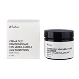 Regenerating Day Cream with Green Tea, Hyaluronic Acid and Coenzyme Q10, 60 ml, Sabio