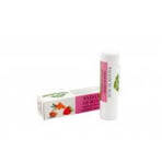 Lip balm with argan oil, catina and strawberry flavour 4.8g, Manicos