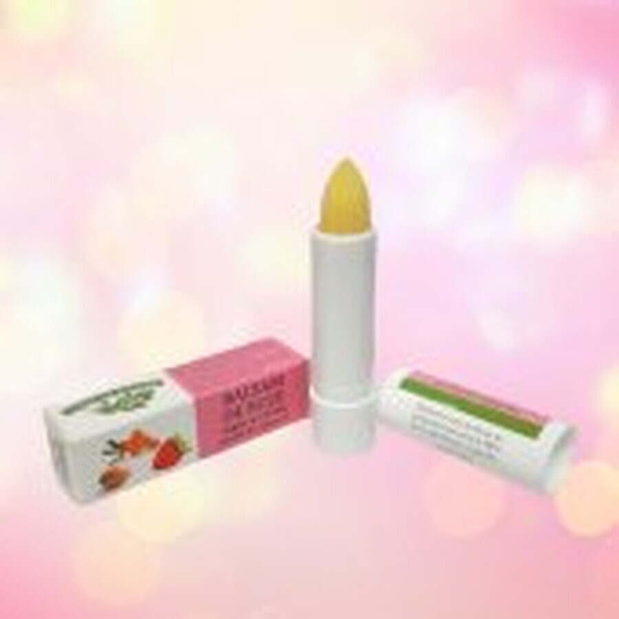 Lip balm with argan oil, catina and strawberry flavour 4.8g, Manicos