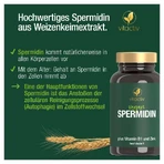 Spermidin Kapseln 60 St