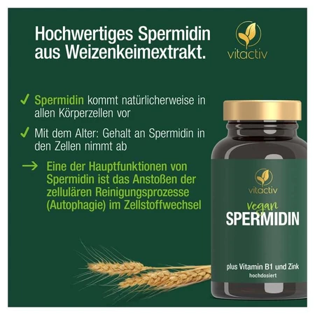 Spermidin Kapseln 60 St