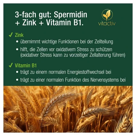 Spermidin Kapseln 60 St
