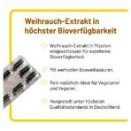 Incienso Köhler Cápsulas 10 Cápsulas