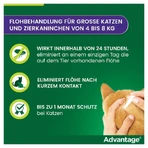 Advantage Spot-On 80 against fleas large cats 4X0.8 ml