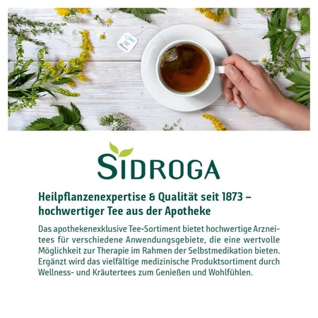 Sidroga paardenbloem thee filterzakje 20X1,5 g