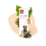 PHA Nierenactiv gouttes chats 30 ml