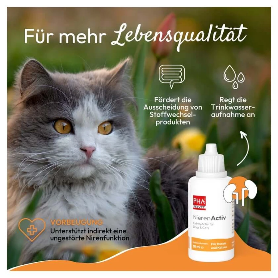 PHA Nierenactiv gouttes chats 30 ml