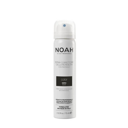 B5 vit corrector spray - BLACK x 75ml, Noah