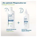 DUCRAY KELUAL Oily Dandruff Set 1 Set