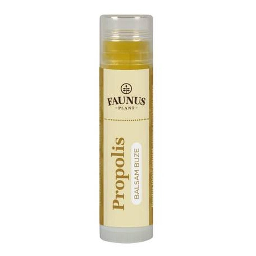 Propolis-Lippenbalsam