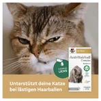 Double Heart for Animals Anti-haarbal Complex voor katten 25X10 g