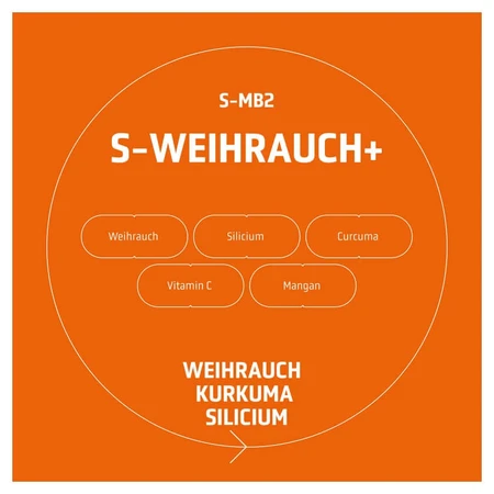 SPLMNT LAB S-WEIHRAUCH+ 60 st.