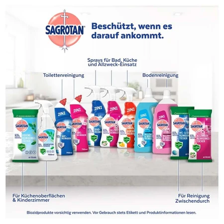 Sagrotan hygiene wipes 60 pcs.