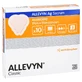 Allevyn Ag Sacrum 17x17 cm Wundverband 10 St
