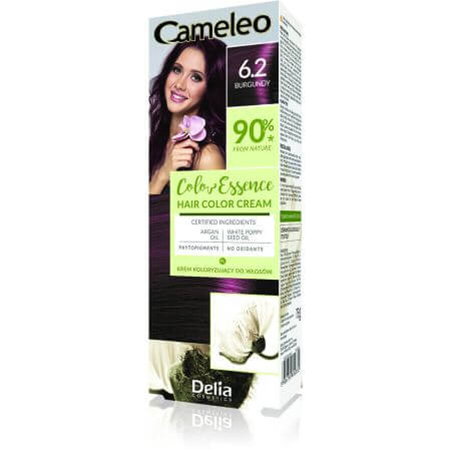 Cameleo Color Essence Hair Colour, 6.2 Burgundy, Delia Cosmetics