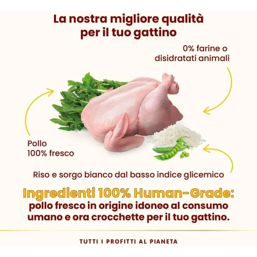 Almo nature Hfc our best kitten pollo - alimento completo per gattini 1,2 kg