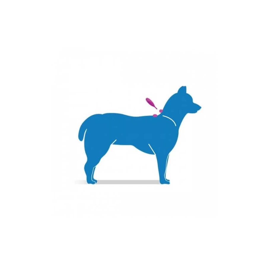Livisto Fiprex Duo XL - 1 pipet met een antiparasitaire behandeling voor honden met een gewicht tussen 20 en 40 kg