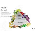 Edg Classic Black Forest – Raumduft, 250 ml
