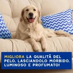 Ceva Animal Health Douxo, S.p.A. – Feuchtigkeitsspendendes und pflegendes Shampoo für Hunde, 250 ml