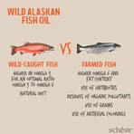 Schesir Wild alaskan fish oil omega 3 plus pesce -olio integratore per cani e gatti 500 ml