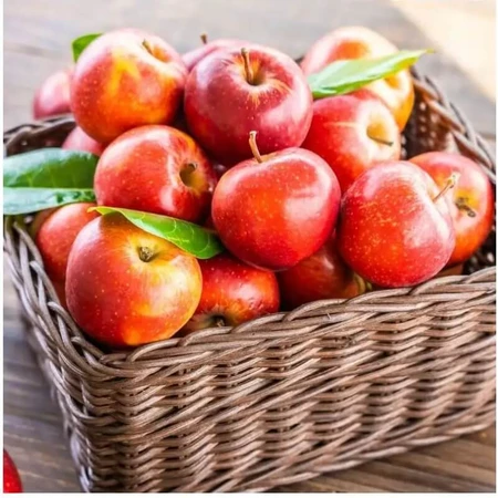 Mellin Piure de mere 6x100 g