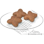 Royal Canin Mini Adult - Compleet voer voor volwassen honden van kleine rassen, 8 kg