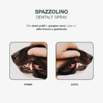 Petformance Toothbrush Spray for Dogs and Cats, 94 ml