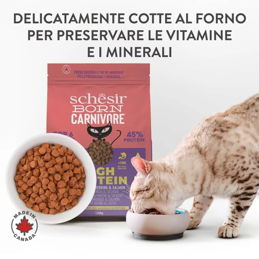 Schesir Born Carnivore au poulet, au hareng et au saumon - Aliment complet pour chats adultes, 255 g