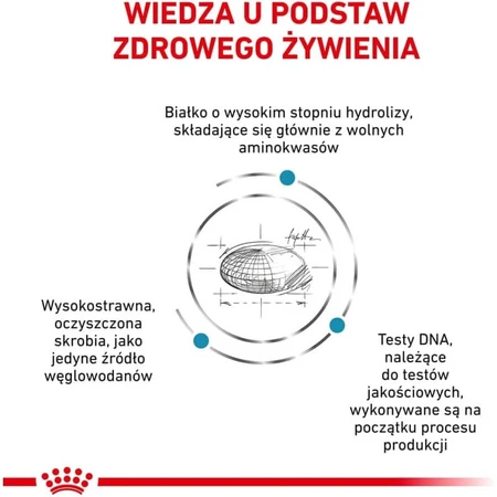 Royal Canin Anallergenic – kompletna karma dla psów z alergiami i nietolerancjami pokarmowymi, 8 kg: ceny i cechy