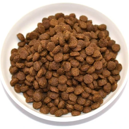 Farmina N&amp;d Pumpkin Adult met kwartel, pompoen en granaatappel – Compleet kattenvoer, 300 g