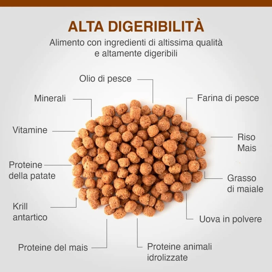 Dechra Specific Fid Digestive Support - Aliment diététique complet pour chats, favorisant la santé digestive et urinaire, 400 g