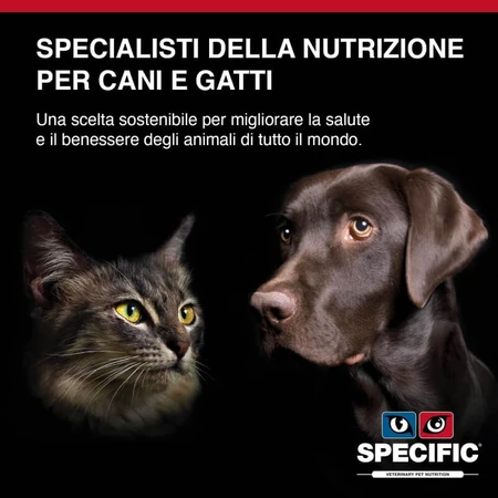Dechra Specific Fid Digestive Support - Aliment diététique complet pour chats, favorisant la santé digestive et urinaire, 400 g