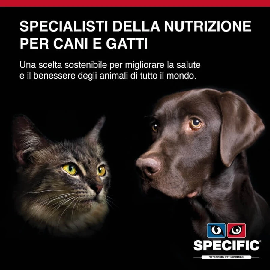 Dechra Specific Fid Digestive Support - Aliment diététique complet pour chats, favorisant la santé digestive et urinaire, 400 g