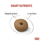 Royal Canin Light Weight Care - Alimento completo para perros adultos de tamaño mediano destinado al control del peso, 12 kg