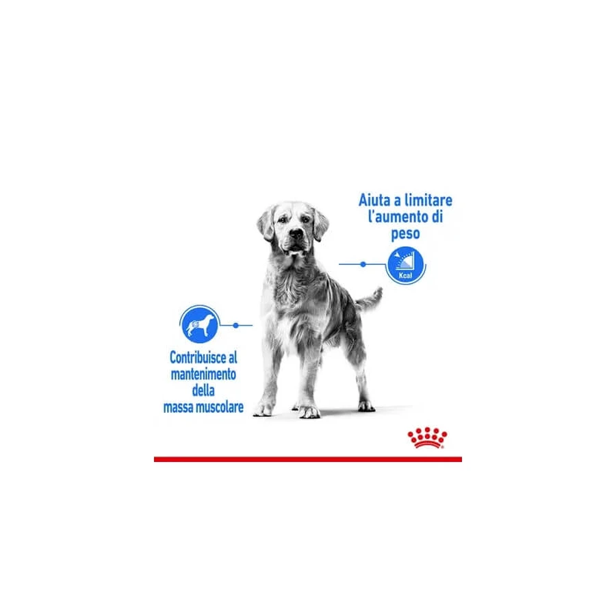 Royal Canin Light Weight Care - Alimento completo para perros adultos de tamaño mediano destinado al control del peso, 12 kg