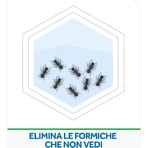 Raid mierenlokmiddel, insecticide, verpakking van 1 stuk