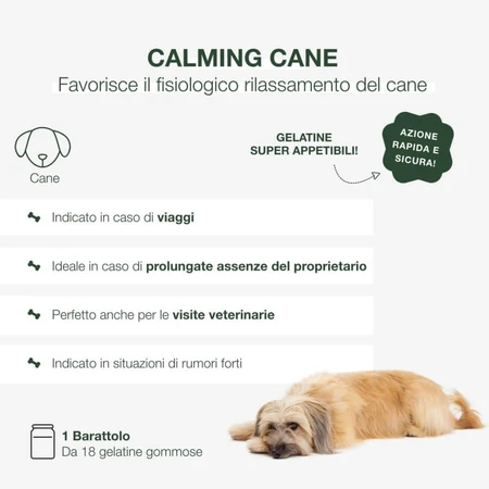 Petformance Calming – Ergänzungsfuttermittel für gestresste und ängstliche Hunde, 16 Kausnacks aus Gelee