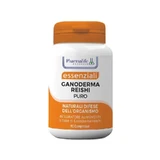 Pure Ganoderma reishi, 90 tabletten – supplement voor het immuunsysteem