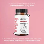 Bau Cosmetics Augen-Gesundheit &amp; Pigmentflecken 90 Tabletten – Nahrungsergänzungsmittel für Hunde