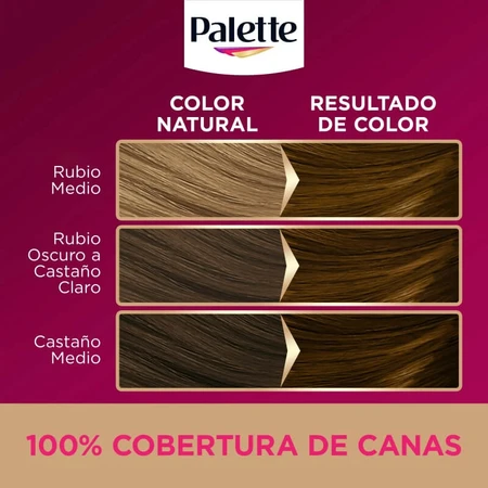 Palette Intensive Color Creams - Permanente haarverf nr. 5.5 Luminous Brown