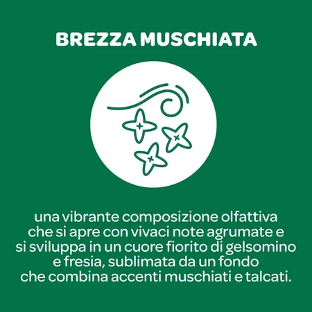 Reines Borotalco mit dem Duft „Musky Breeze“ – 48-Stunden-Deo-Spray, 150 ml