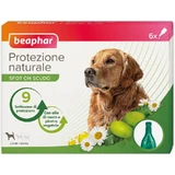 Beaphar Spot-on Shield - Natuurlijke bescherming voor grote volwassen honden met een gewicht van meer dan 30 kg, 6 flacons